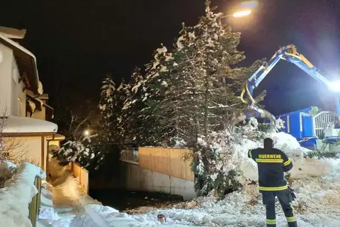 Schneebruch: Bagger räumt nachts umgestürzte Bäume