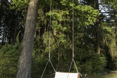 Montierte Hängeschaukel unter einem großen Baum