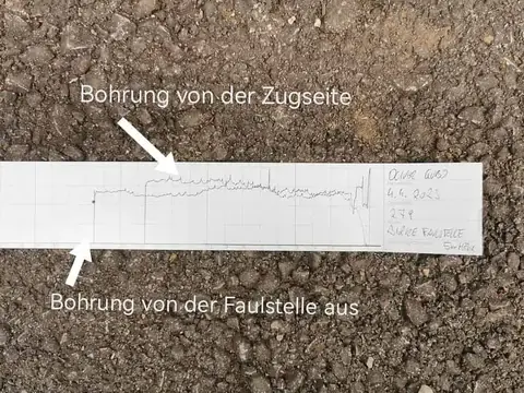 Bohrwiderstandsmessung: Ausdruck an der Schadstelle