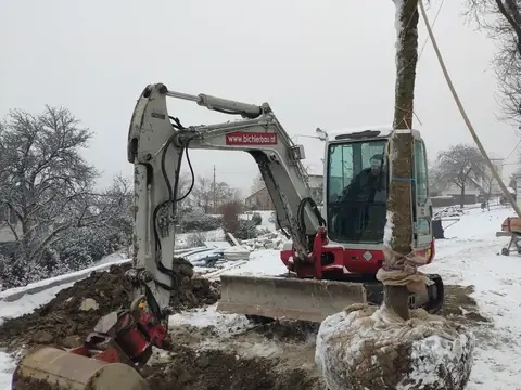 Großbaum wird mit Bagger und Wurzelballen gepflanzt