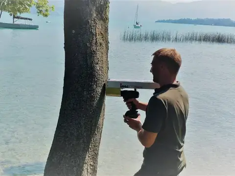 Bohrwiderstandsmessung mit dem Resistographen an einem Ufer-Baum