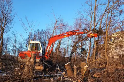 Bagger mit Fällgreifer bei einer Rodung