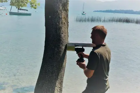 Bohrwiderstandsmessung mit dem Resistographen an einem Ufer-Baum