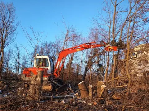 Bagger mit Fällgreifer bei einer Rodung