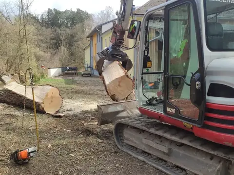 Minibagger mit Greifer beim Räumen von Stammholz
