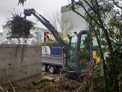 Bagger mit Greifer lädt Gehölzschnitt auf
