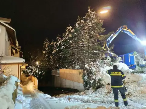 Schneebruch: Bagger räumt nachts umgestürzte Bäume