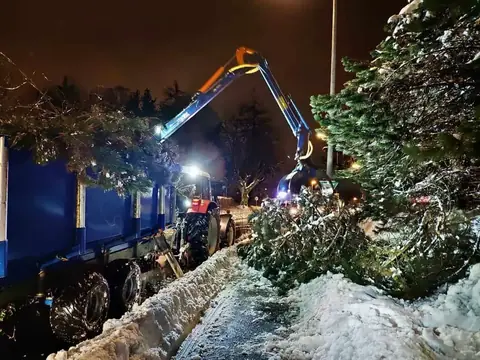 Schneebruch: Kranarbeit an verschneiten Bäumen bei Nacht