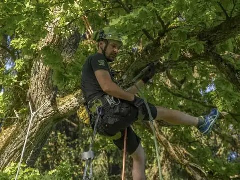 Kletterer montiert eine Schaukel in der Baumkrone