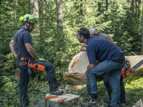 Waldarbeit: Team beim Zerlegen eines Stammes